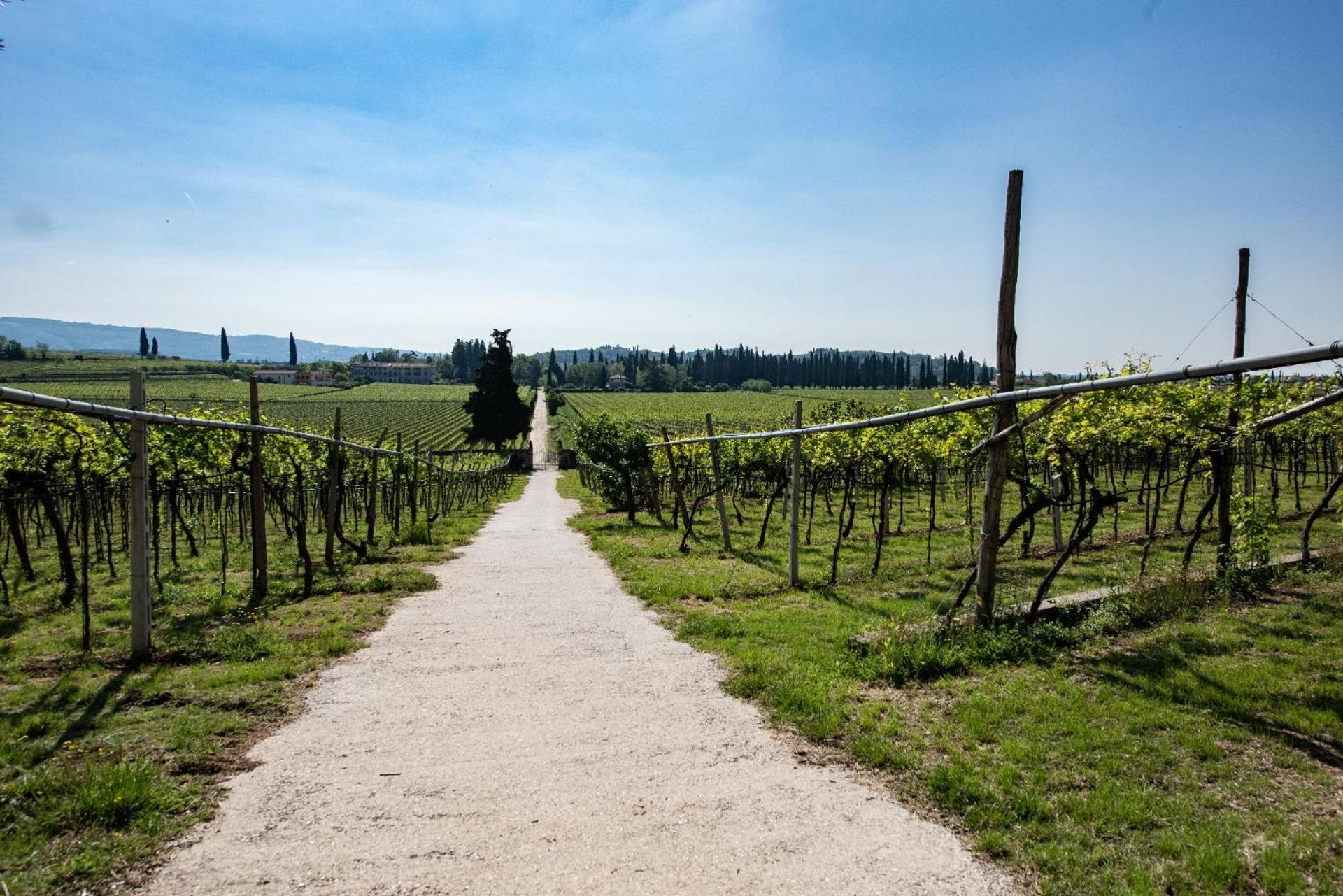 Agriturismo El Crear Сан Пиетро ин Кариано Екстериор снимка
