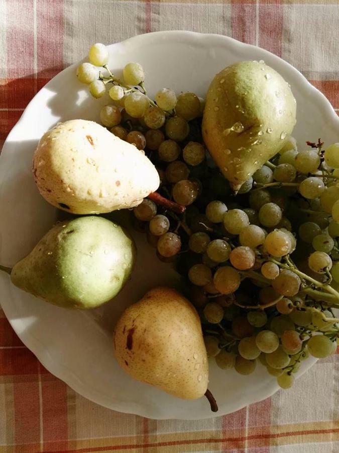Agriturismo El Crear Сан Пиетро ин Кариано Екстериор снимка